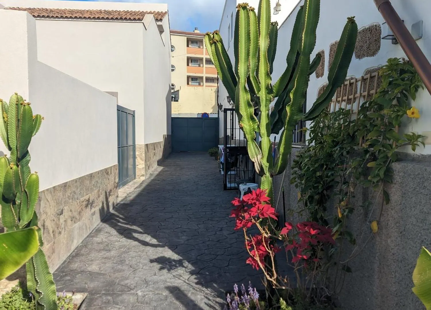 Casa Roberta Fuego Daire Arona  İspanya