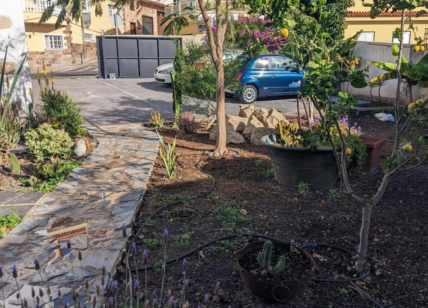 Apartmán Casa Roberta Fuego Arona   Arona (Tenerife)